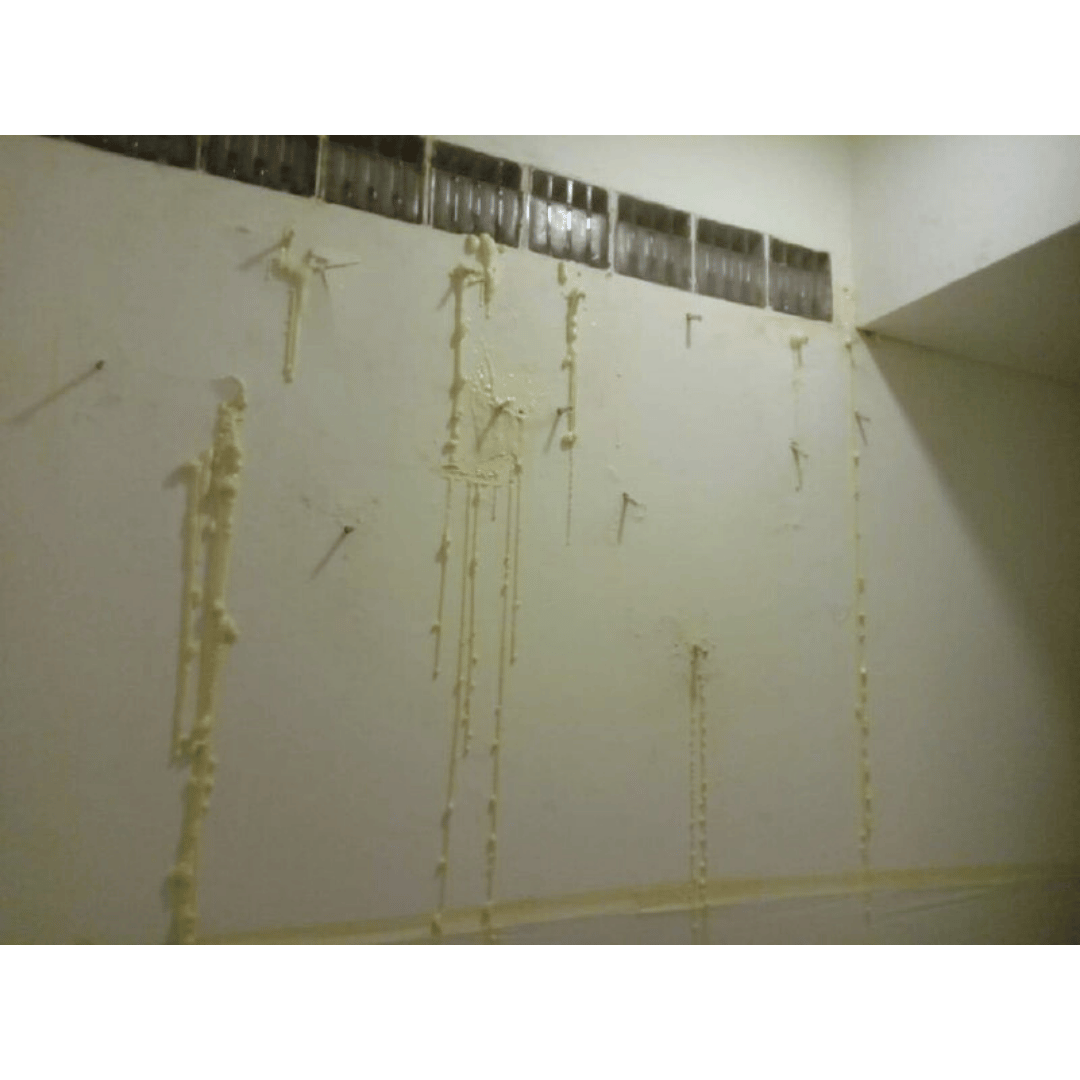 mouldy white wall mould removal